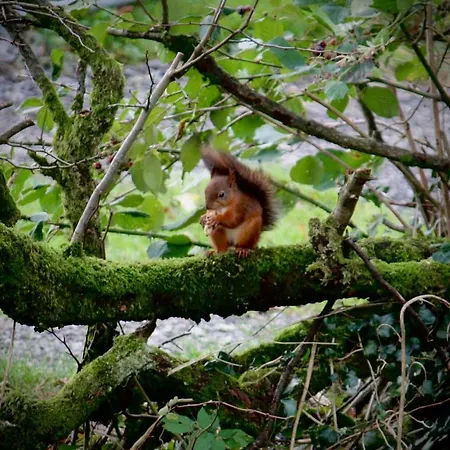 Cross Haw Semesterbostad