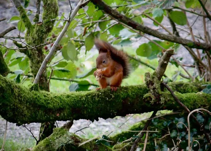 Cross Haw Holiday home